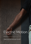 ELECTRIC MOTION - Villa Pischelsdorf | 15. November 16:00 - 18:00